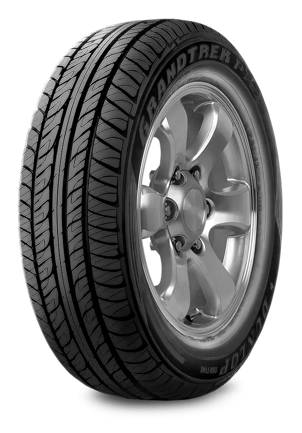 265/60R18 110H Grandtrek PT22 DUNLOP