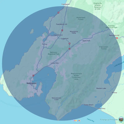 Wellington